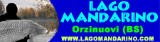 MANDARINO_225x60.gif