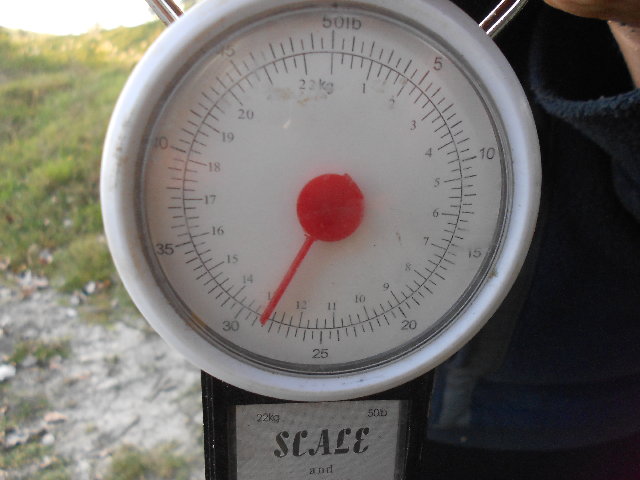 DSCN0648.JPG