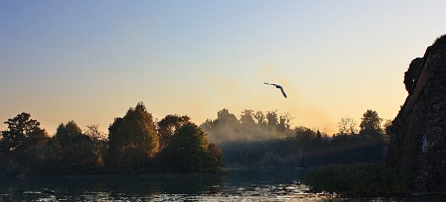 IMG_5759.JPG