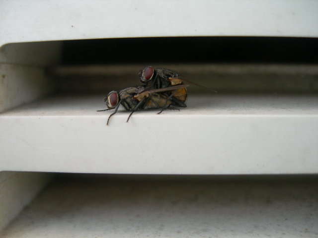 DSCN9728.JPG