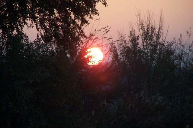 100_5853.JPG