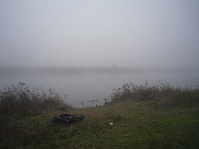 SAM_1596.JPG