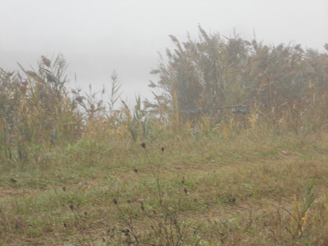 DSCN1786.JPG