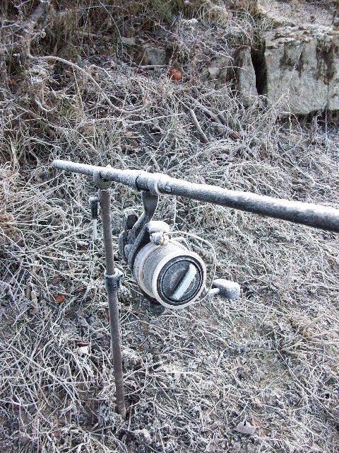 100_2010.JPG