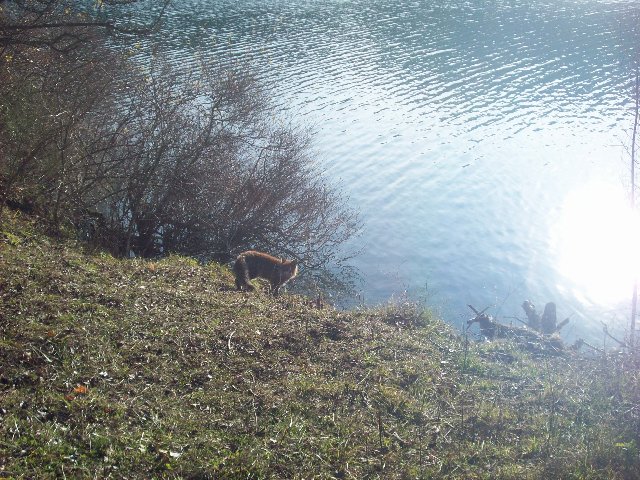 100_2514.JPG