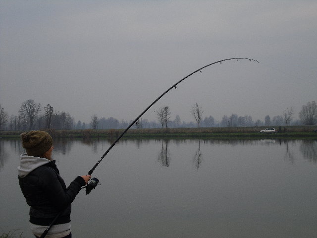 SAM_1643.JPG