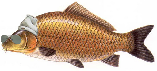 carpa sospetta.jpg