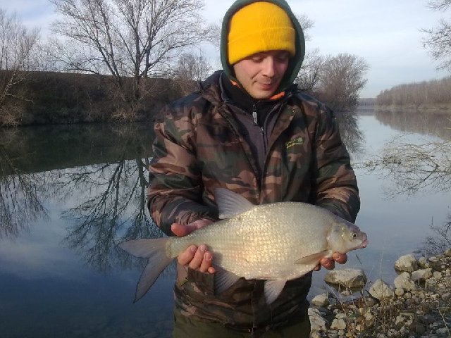 big bream.jpg