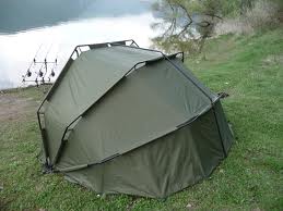 bivy fox (1).jpg