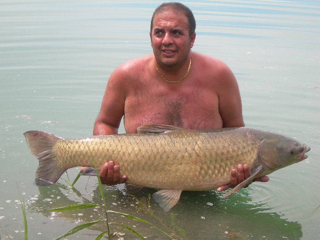 DSCN9733.JPG