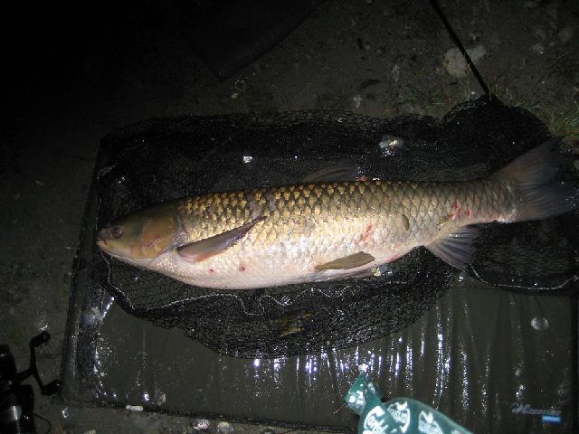 Lago di Bertignano 22-24 agosto 025.jpg