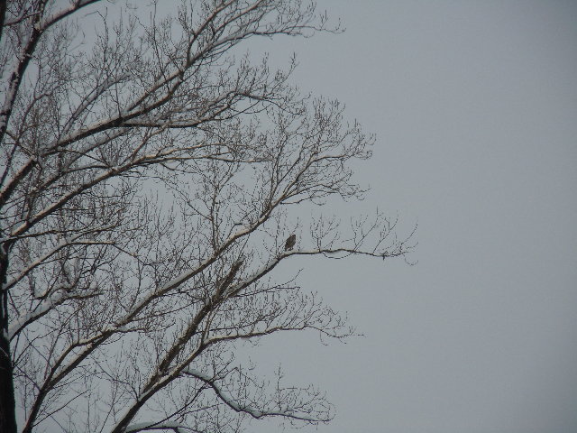 DSCN0899.JPG