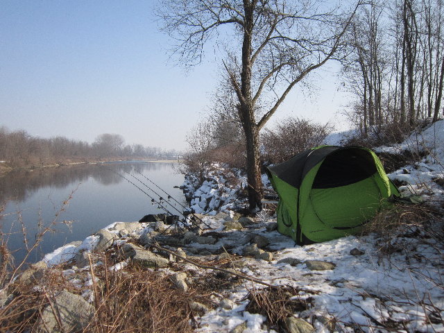 IMG_0347.jpg