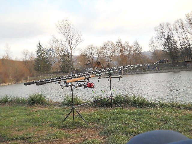 DSCN0329.JPG