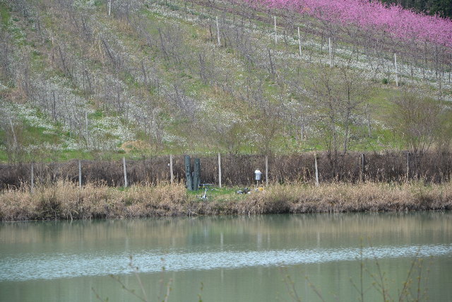 020.JPG