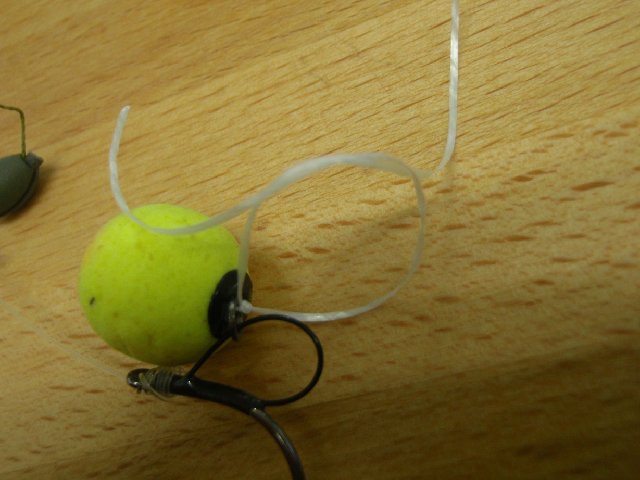 P4060242.JPG