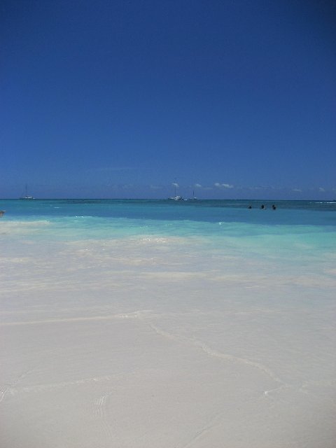Immagine 302.jpg