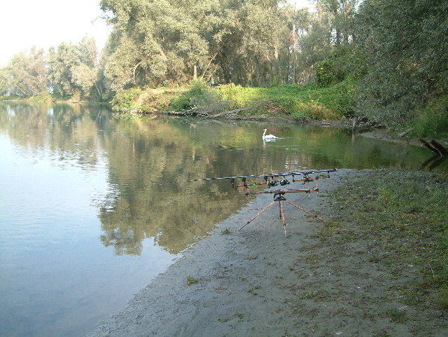 DSCF0004.JPG