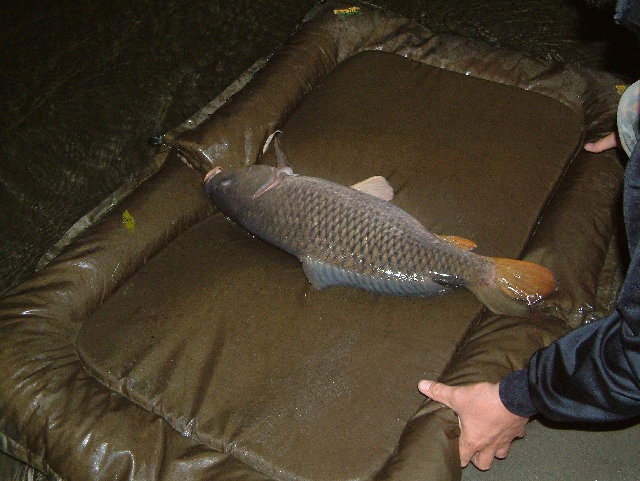 DSCF0050.JPG