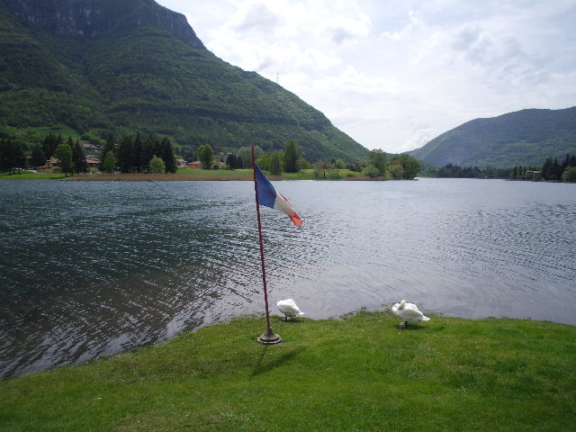 SAM_2455.JPG