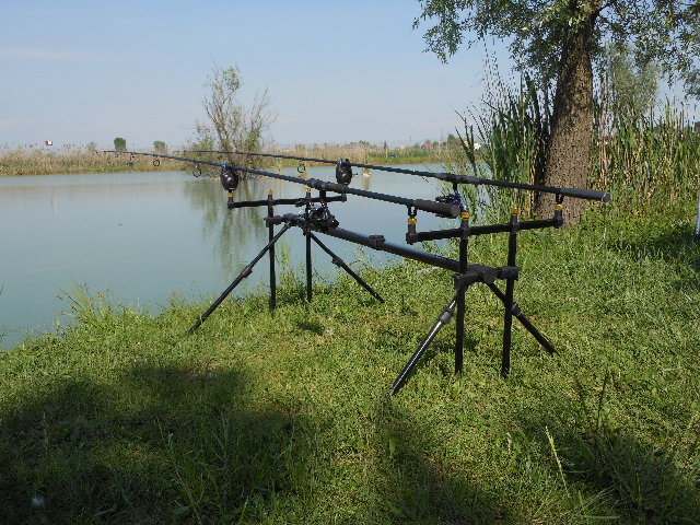 Foto 003.jpg