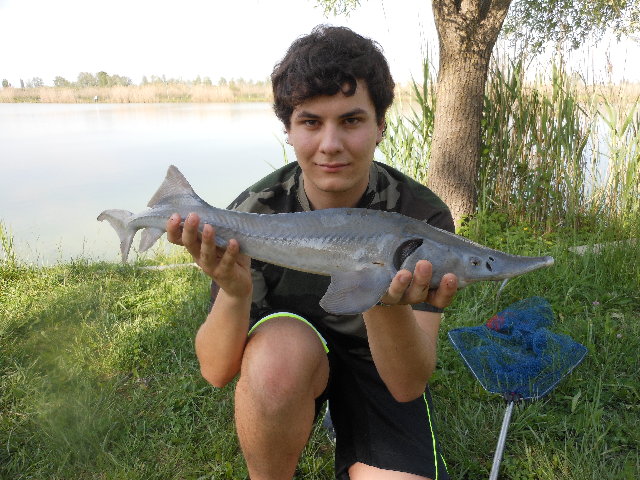 Foto 008.jpg