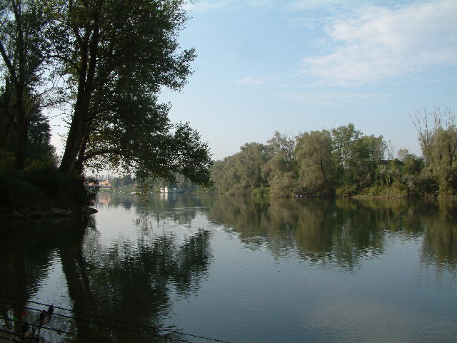 DSCF0006.JPG
