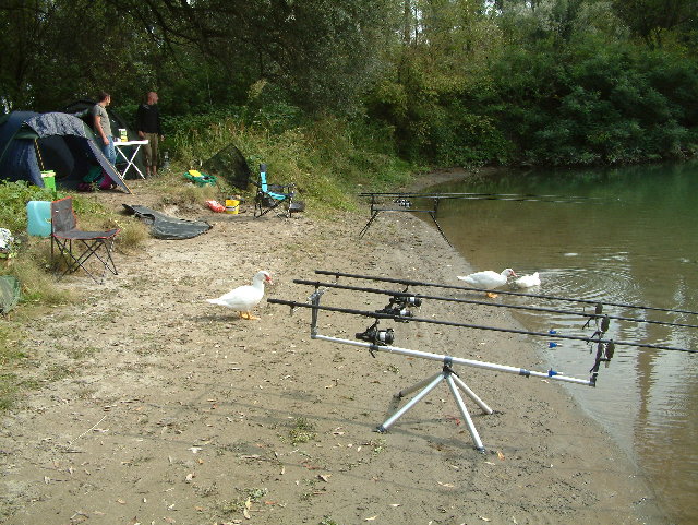 DSCF0015.JPG