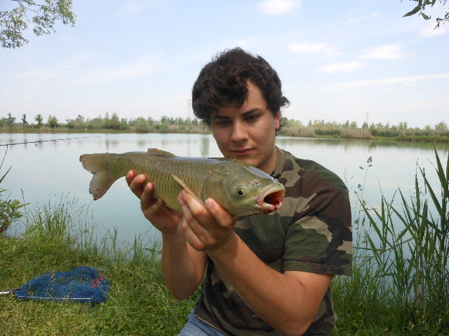 27-05-12_ 020.jpg