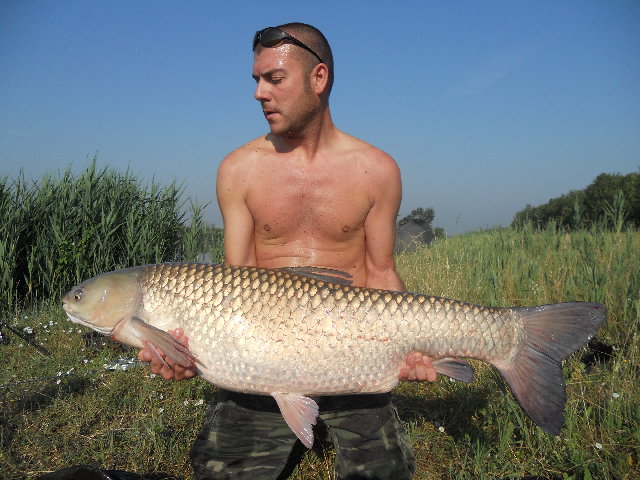ostellato zona vallette giugno 2012 009.jpg