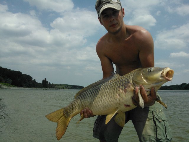 WP_000183.jpg