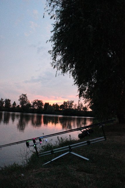 aa 020.jpg