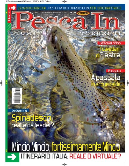 00_Copertina_Pin_settembre_2012_copia.jpg