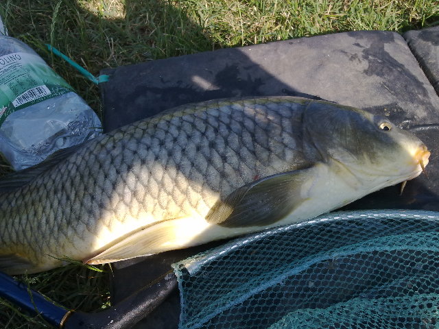 27062012680.jpg (927.74 KiB) Visto 3647 volte 27062012680.jpg