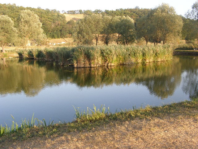P8250146.JPG