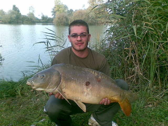 carpona.jpg