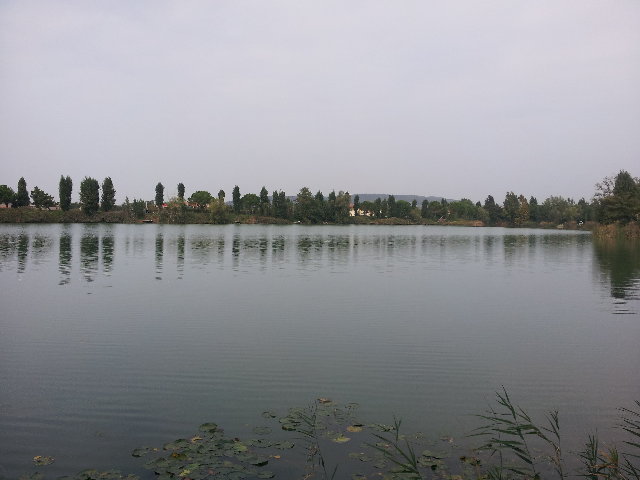 20121010_123558.jpg