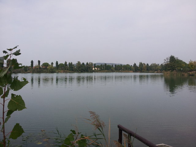 20121010_123610.jpg
