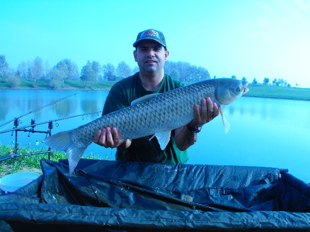 DSCF0163.JPG