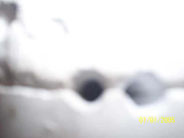 100_0774.JPG