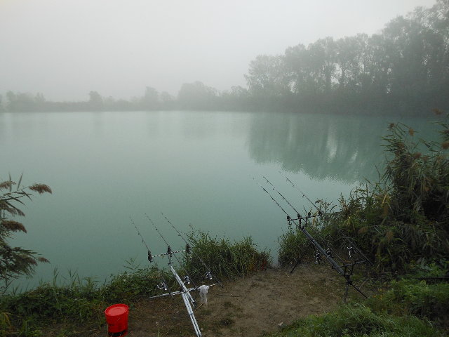 DSCN0462.jpg