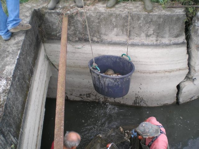 602259_551523431529465_187451067_n[1] - Copia - Copia.jpg