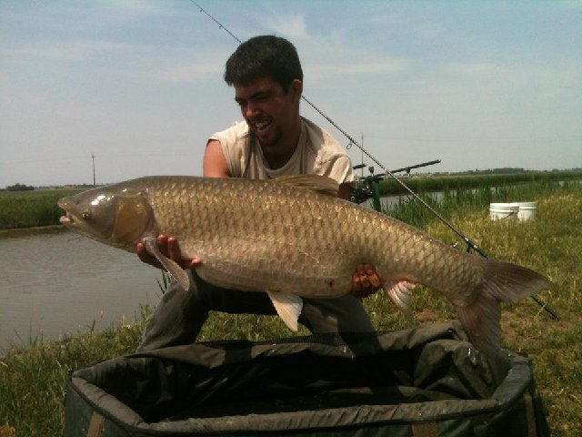 amur canale.jpg