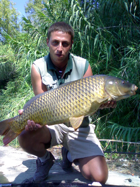28082008006.jpg