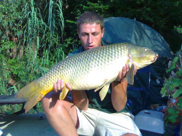 28082008014.jpg