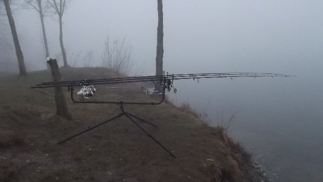 DSCF1505.JPG