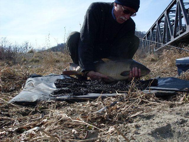 SDC11176.JPG