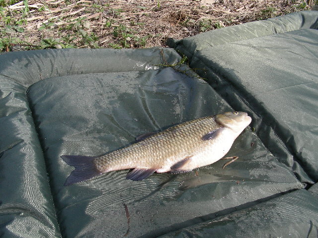 DSCN3806.JPG