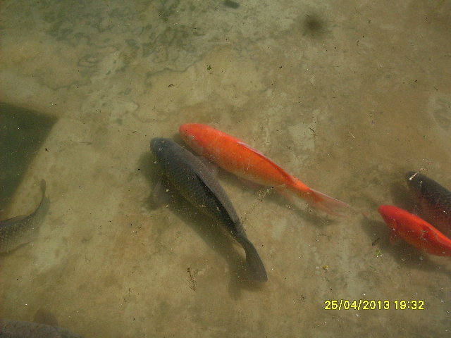 SDC11193.JPG