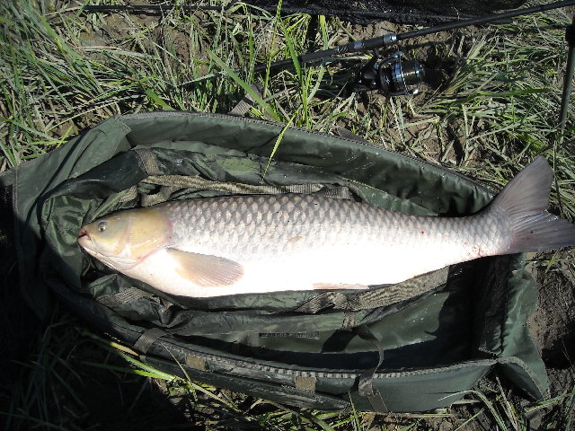 DSCN1094.JPG